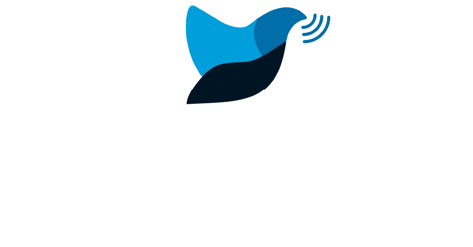 Instituto Vocalize